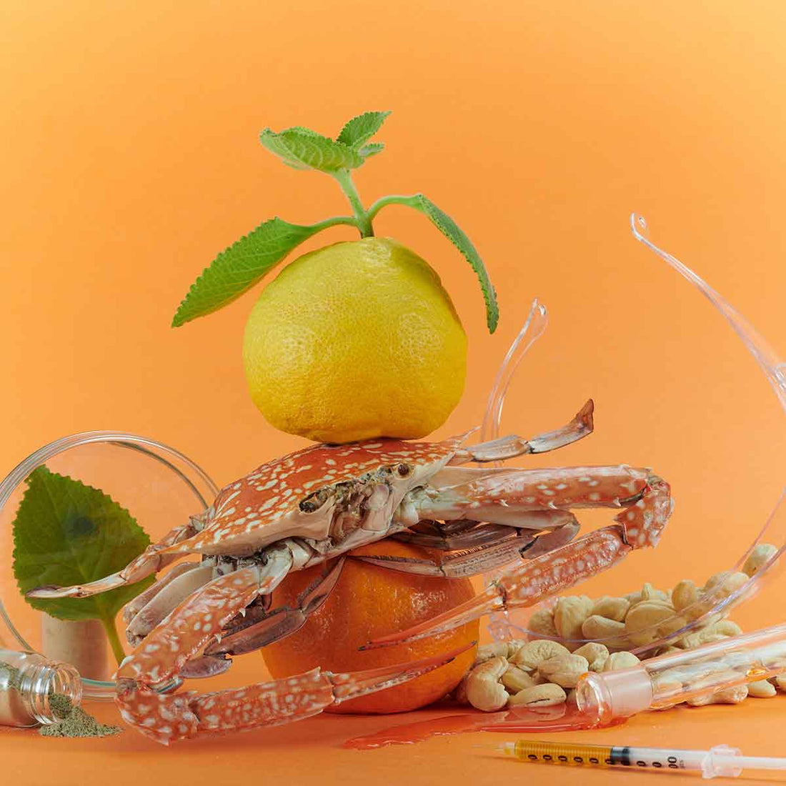 From Waste to Wonder: How VIKANG99 is Revolutionizing Food Storage